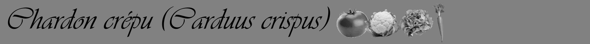 Étiquette de : Carduus crispus - format a - style noire50viv avec comestibilité simplifiée