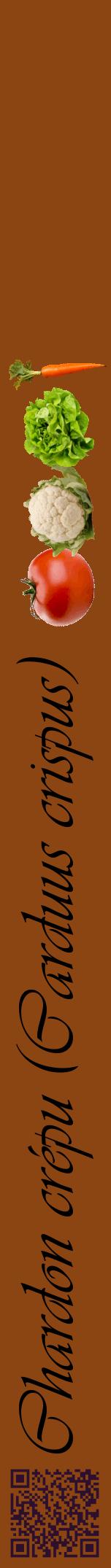 Étiquette de : Carduus crispus - format a - style noire30viv avec qrcode et comestibilité simplifiée