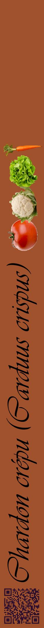 Étiquette de : Carduus crispus - format a - style noire32viv avec qrcode et comestibilité simplifiée