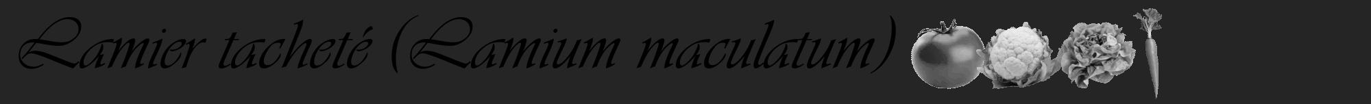 Étiquette de : Lamium maculatum - format a - style noire47viv avec comestibilité simplifiée