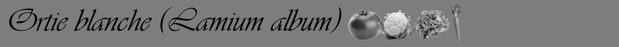 Étiquette de : Lamium album - format a - style noire35viv avec comestibilité simplifiée
