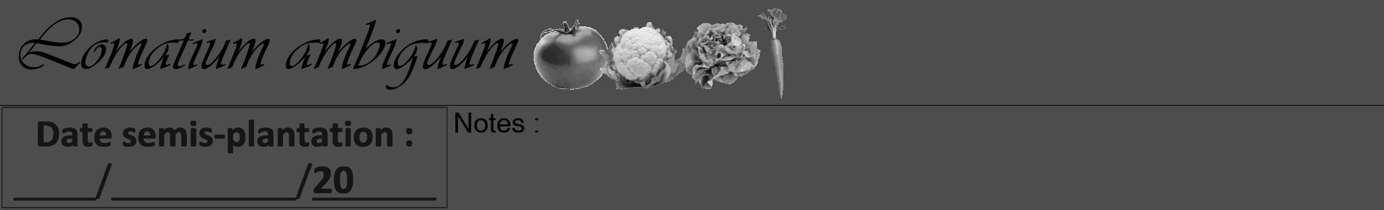 Étiquette de : Lomatium ambiguum - format a - style noire28basiqueviv avec comestibilité simplifiée