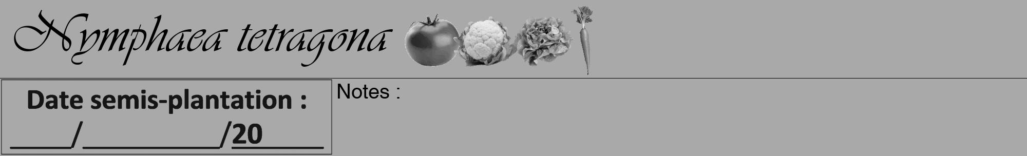 Étiquette de : Nymphaea tetragona - format a - style noire13viv avec comestibilité simplifiée