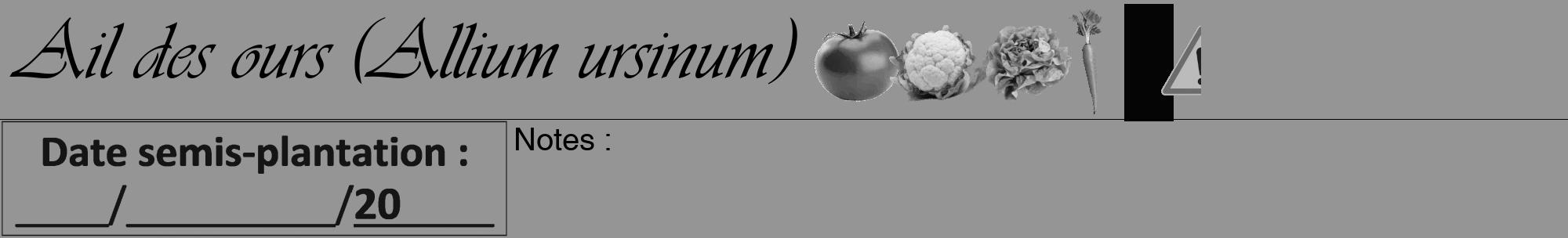 Étiquette de : Allium ursinum - format a - style noire16viv avec comestibilité simplifiée