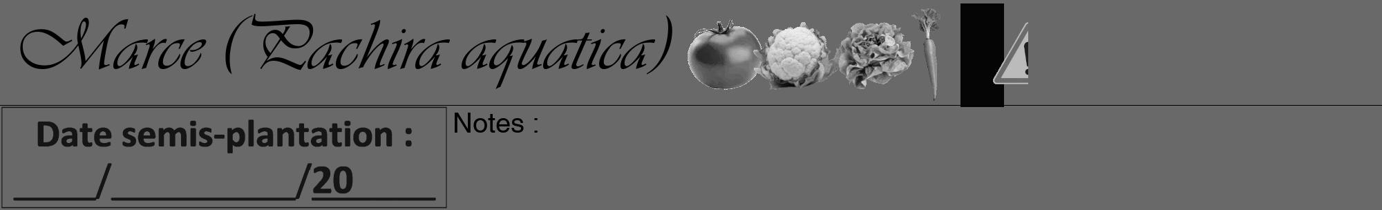 Étiquette de : Pachira aquatica - format a - style noire51viv avec comestibilité simplifiée