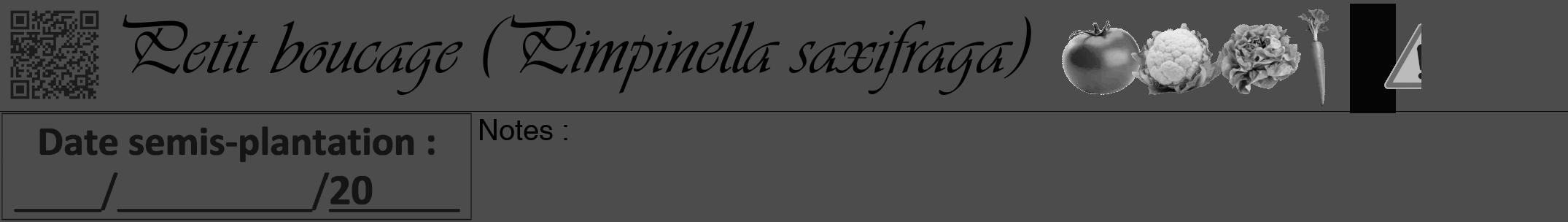 Étiquette de : Pimpinella saxifraga - format a - style noire27viv avec qrcode et comestibilité simplifiée