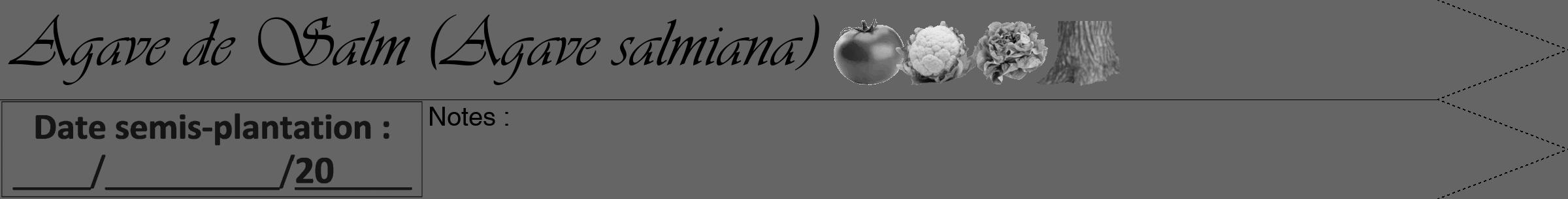 Étiquette de : Agave salmiana - format a - style noire32simpleviv avec comestibilité simplifiée