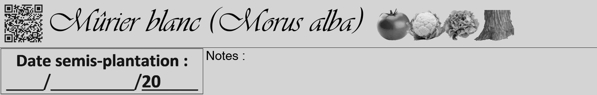 Étiquette de : Morus alba - format a - style noire40basiqueviv avec qrcode et comestibilité simplifiée