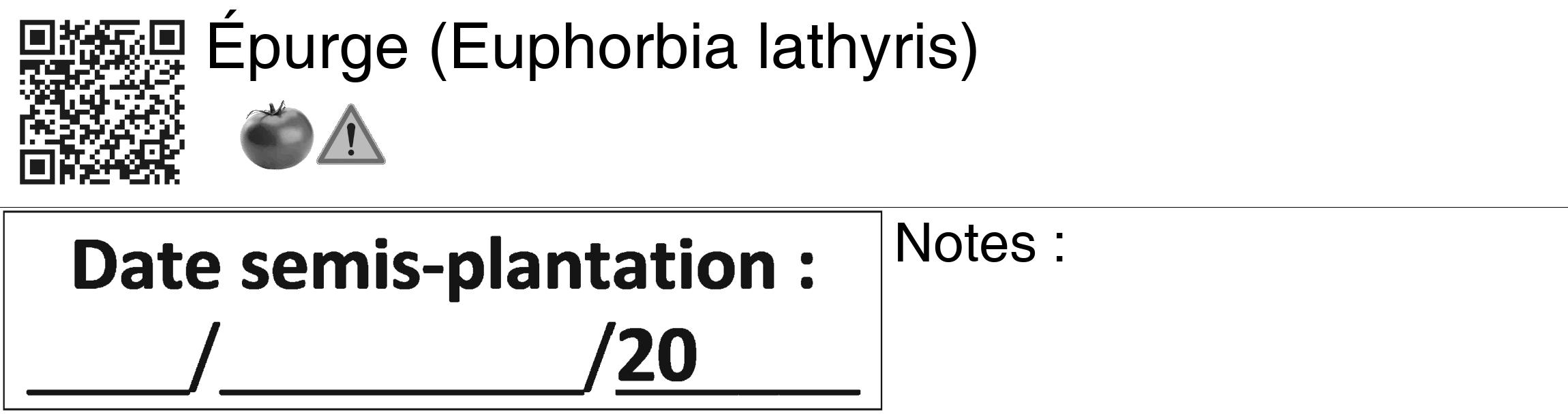 Étiquette de : Euphorbia lathyris - format c - style noire60_basiquegrrvhel avec qrcode et comestibilité simplifiée