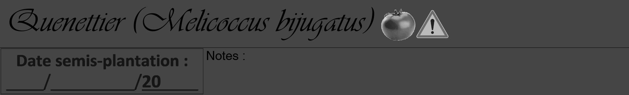 Étiquette de : Melicoccus bijugatus - format a - style noire58basiqueviv avec comestibilité simplifiée