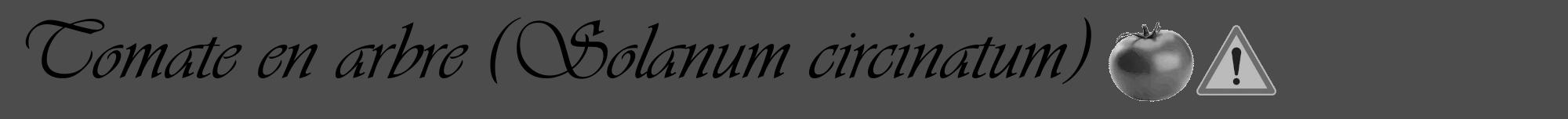 Étiquette de : Solanum circinatum - format a - style noire27viv avec comestibilité simplifiée