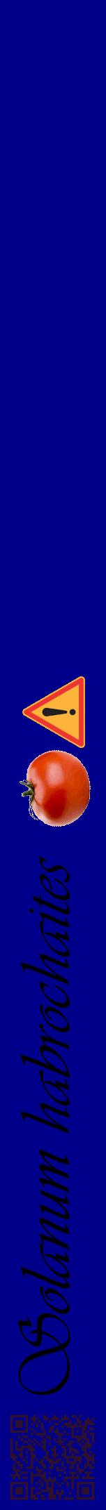 Étiquette de : Solanum habrochaites - format a - style noire7viv avec qrcode et comestibilité simplifiée