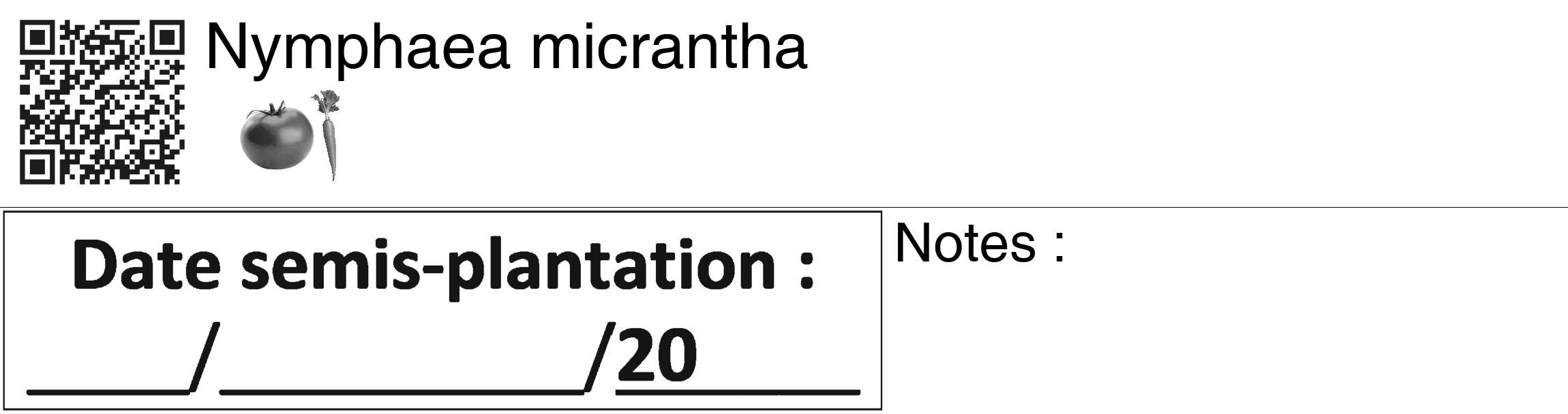 Étiquette de : Nymphaea micrantha - format c - style noire60_basiquegrrvhel avec qrcode et comestibilité simplifiée