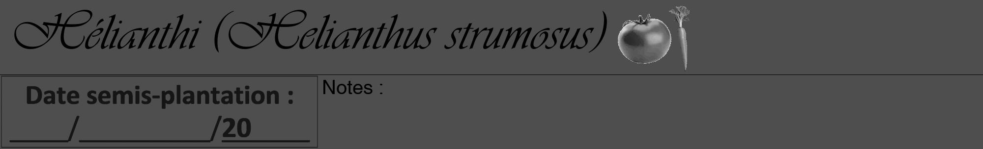 Étiquette de : Helianthus strumosus - format a - style noire33basiqueviv avec comestibilité simplifiée