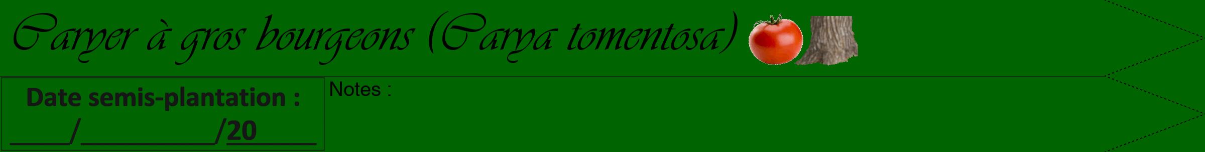 Étiquette de : Carya tomentosa - format a - style noire8simpleviv avec comestibilité simplifiée