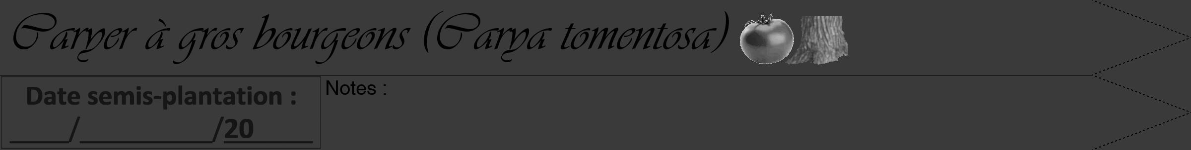 Étiquette de : Carya tomentosa - format a - style noire8simpleviv avec comestibilité simplifiée
