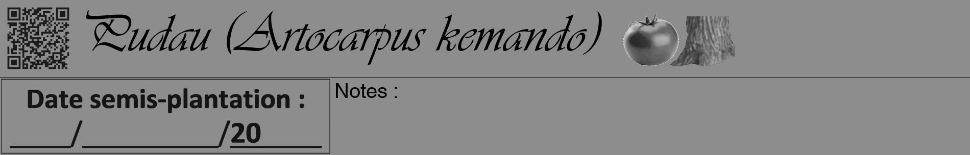 Étiquette de : Artocarpus kemando - format a - style noire2basiqueviv avec qrcode et comestibilité simplifiée