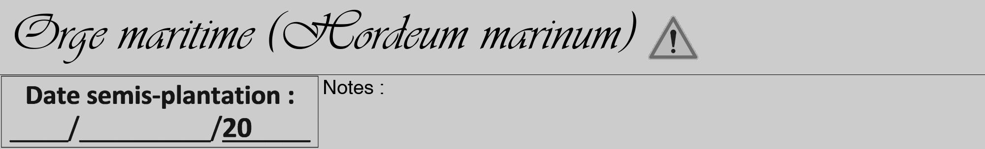Étiquette de : Hordeum marinum - format a - style noire0viv avec comestibilité simplifiée