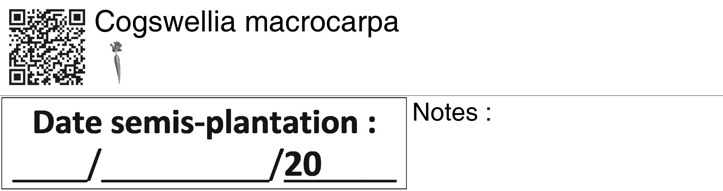 Étiquette de : Cogswellia macrocarpa - format c - style noire60_basiquegrrvhel avec qrcode et comestibilité simplifiée