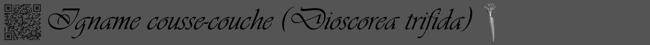 Étiquette de : Dioscorea trifida - format a - style noire36viv avec qrcode et comestibilité simplifiée