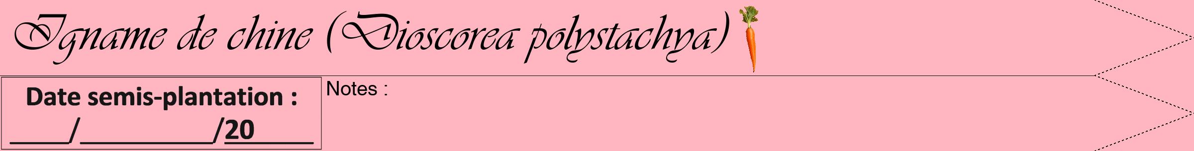 Étiquette de : Dioscorea polystachya - format a - style noire41simpleviv avec comestibilité simplifiée