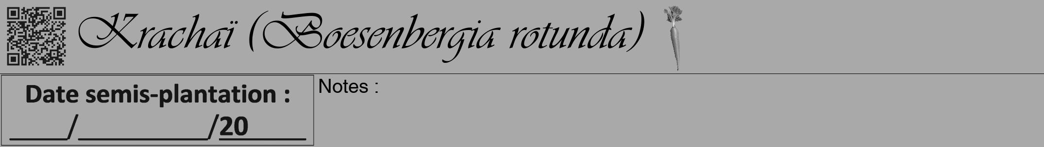 Étiquette de : Boesenbergia rotunda - format a - style noire13viv avec qrcode et comestibilité simplifiée
