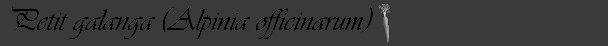 Étiquette de : Alpinia officinarum - format a - style noire8viv avec comestibilité simplifiée