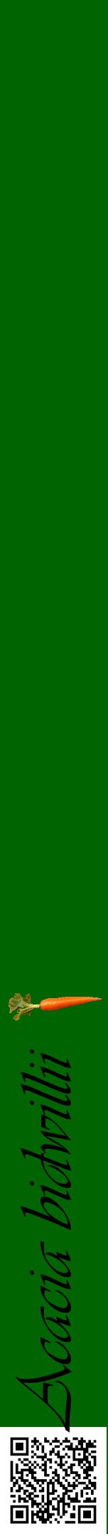 Étiquette de : Acacia bidwillii - format a - style noire8viv avec qrcode et comestibilité simplifiée