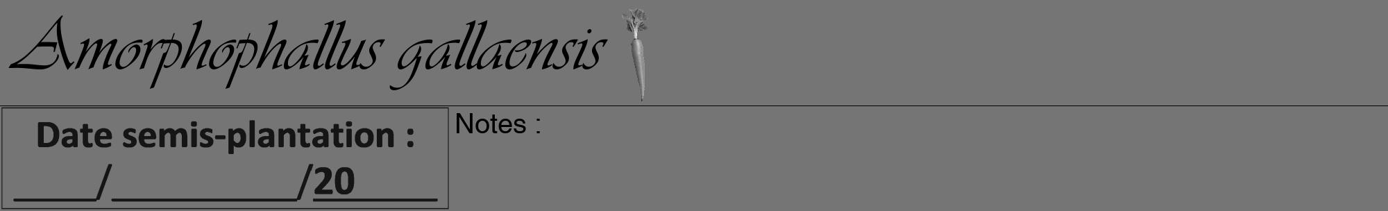 Étiquette de : Amorphophallus gallaensis - format a - style noire5viv avec comestibilité simplifiée