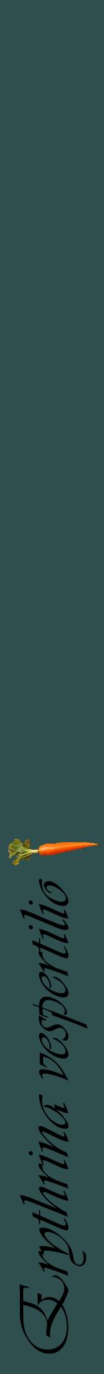 Étiquette de : Erythrina vespertilio - format a - style noire58viv avec comestibilité simplifiée