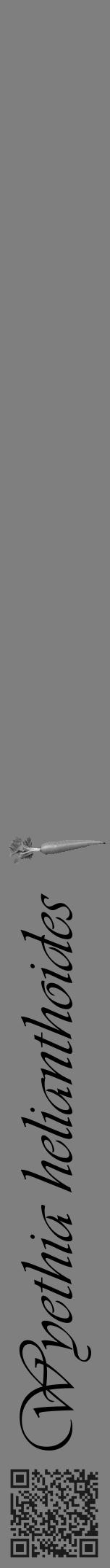 Étiquette de : Wyethia helianthoides - format a - style noire31simpleviv avec qrcode et comestibilité simplifiée - position verticale