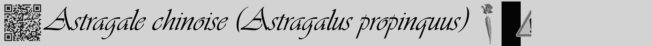Étiquette de : Astragalus propinquus - format a - style noire56viv avec qrcode et comestibilité simplifiée