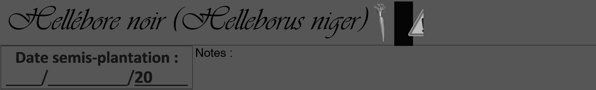 Étiquette de : Helleborus niger - format a - style noire45viv avec comestibilité simplifiée