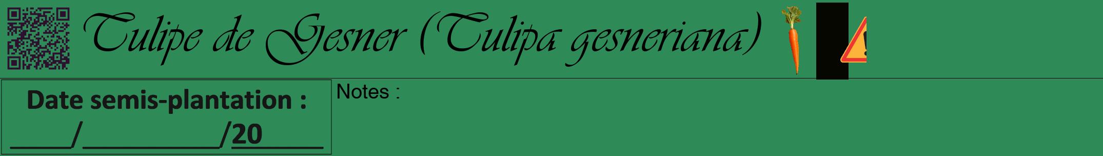 Étiquette de : Tulipa gesneriana - format a - style noire11simpleviv avec qrcode et comestibilité simplifiée