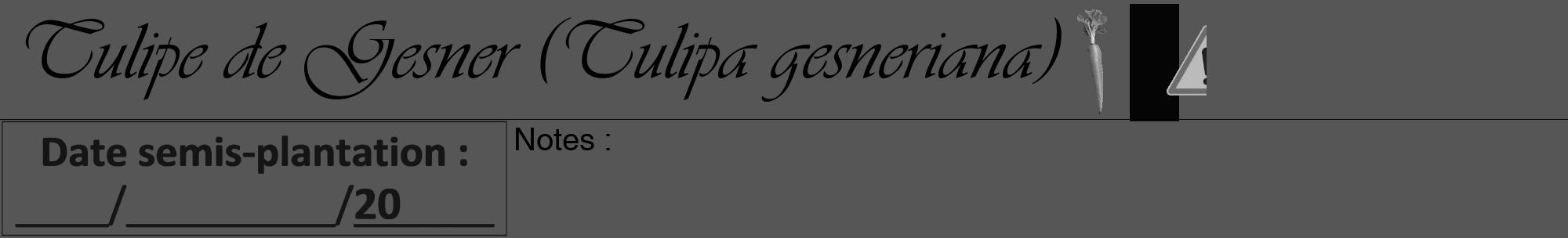 Étiquette de : Tulipa gesneriana - format a - style noire45viv avec comestibilité simplifiée