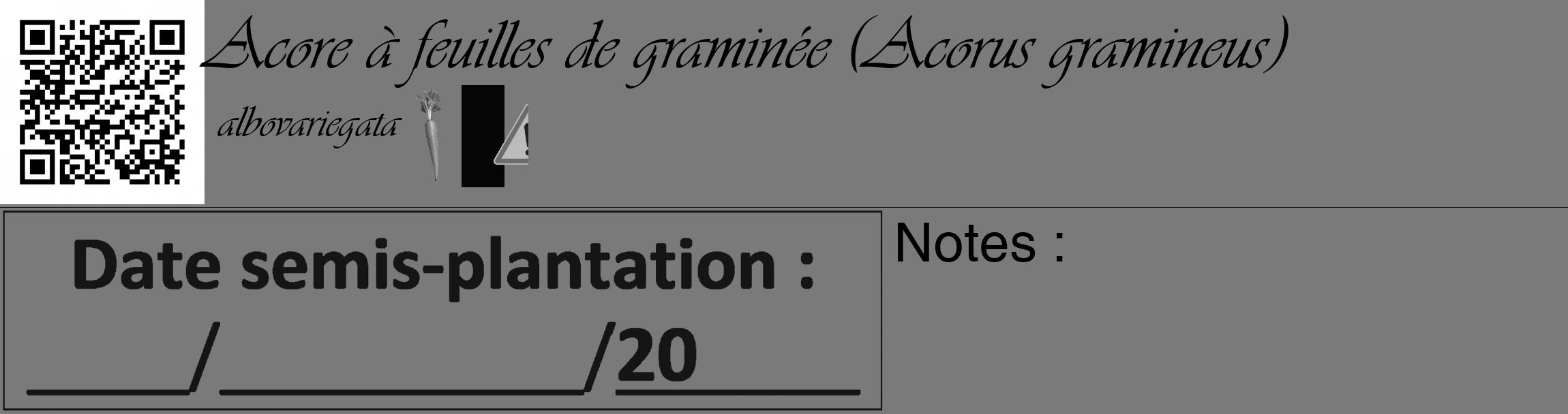 Étiquette de : Acorus gramineus albovariegata - format c - style noire3_basique_basiqueviv avec qrcode et comestibilité simplifiée
