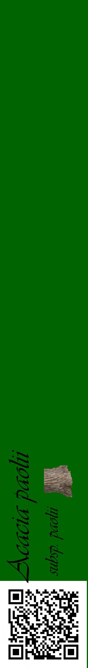 Étiquette de : Acacia paolii subsp. paolii - format c - style noire8_basiqueviv avec qrcode et comestibilité simplifiée