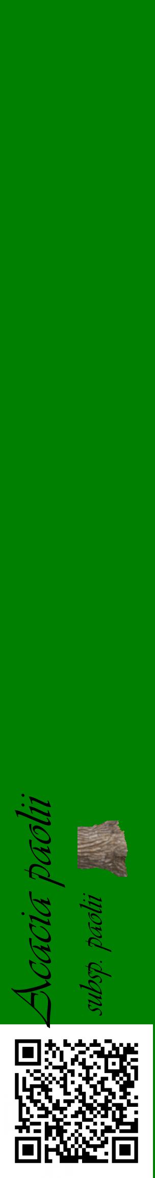 Étiquette de : Acacia paolii subsp. paolii - format c - style noire9_basiqueviv avec qrcode et comestibilité simplifiée
