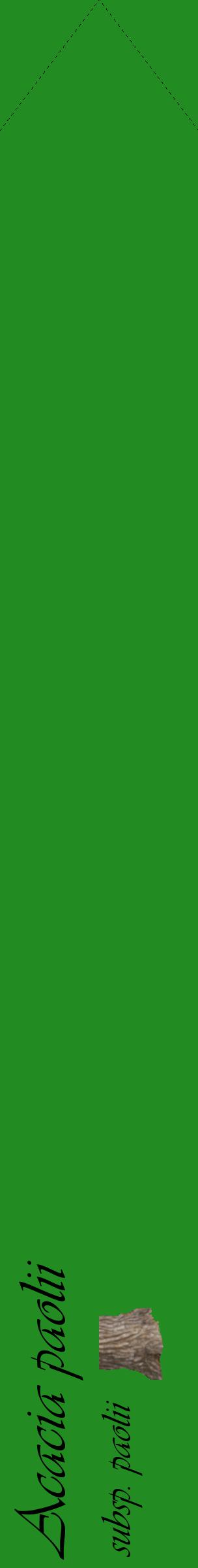 Étiquette de : Acacia paolii subsp. paolii - format c - style noire10_simpleviv avec comestibilité simplifiée