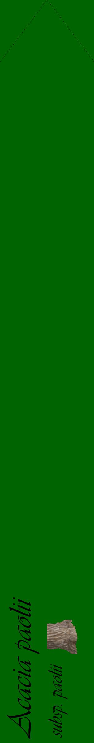 Étiquette de : Acacia paolii subsp. paolii - format c - style noire8_simpleviv avec comestibilité simplifiée
