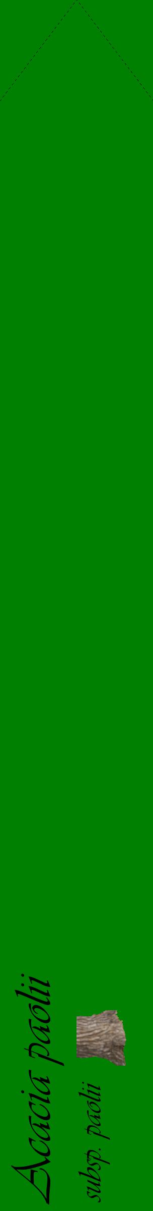 Étiquette de : Acacia paolii subsp. paolii - format c - style noire9_simpleviv avec comestibilité simplifiée