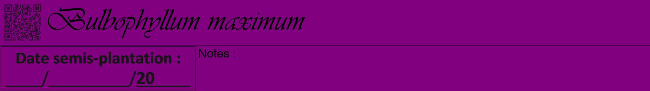 Étiquette de : Bulbophyllum maximum - format a - style noire46viv avec qrcode et comestibilité