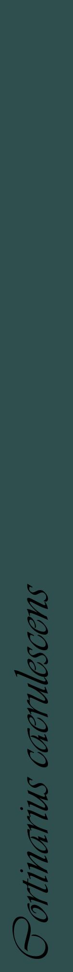 Étiquette de : Cortinarius caerulescens - format a - style noire58viv avec comestibilité