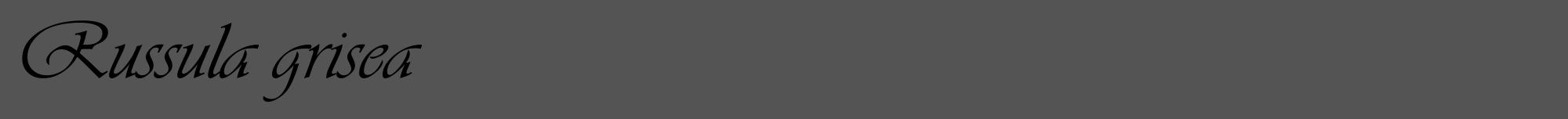 Étiquette de : Russula grisea - format a - style noire30viv avec comestibilité