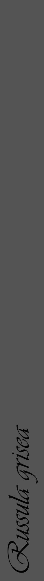 Étiquette de : Russula grisea - format a - style noire30viv avec comestibilité - position verticale