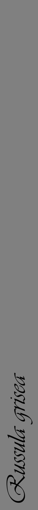 Étiquette de : Russula grisea - format a - style noire57viv avec comestibilité