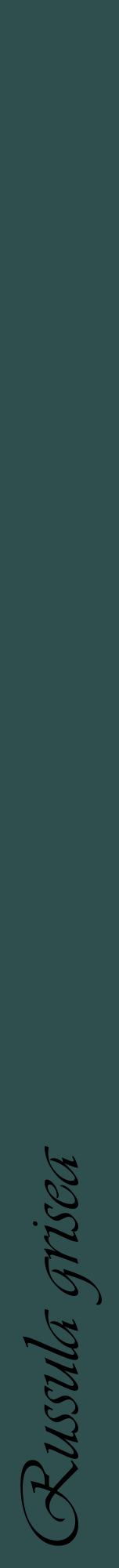 Étiquette de : Russula grisea - format a - style noire58viv avec comestibilité