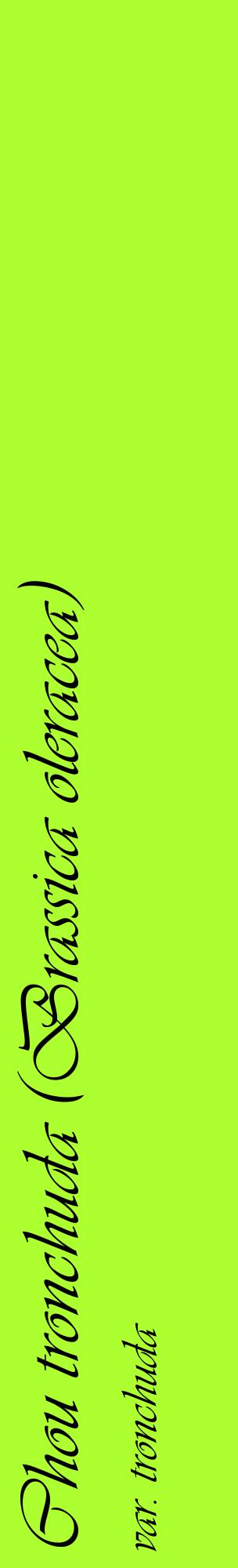 Étiquette de : Brassica oleracea var. tronchuda - format c - style noire17_basiqueviv avec comestibilité
