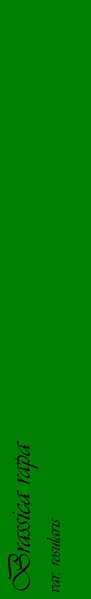 Étiquette de : Brassica rapa var. rosularis - format c - style noire9_basiqueviv avec comestibilité