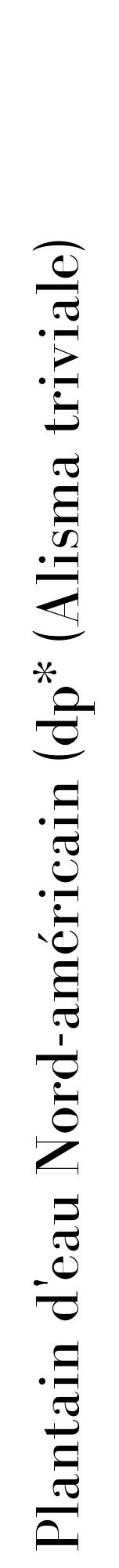 étiquette 2